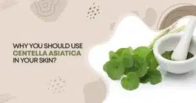 Why You Should Use Centella Asiatica in Your Skin?